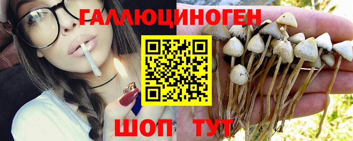 Псилоцибиновые грибы MAGIC MUSHROOMS Пермь