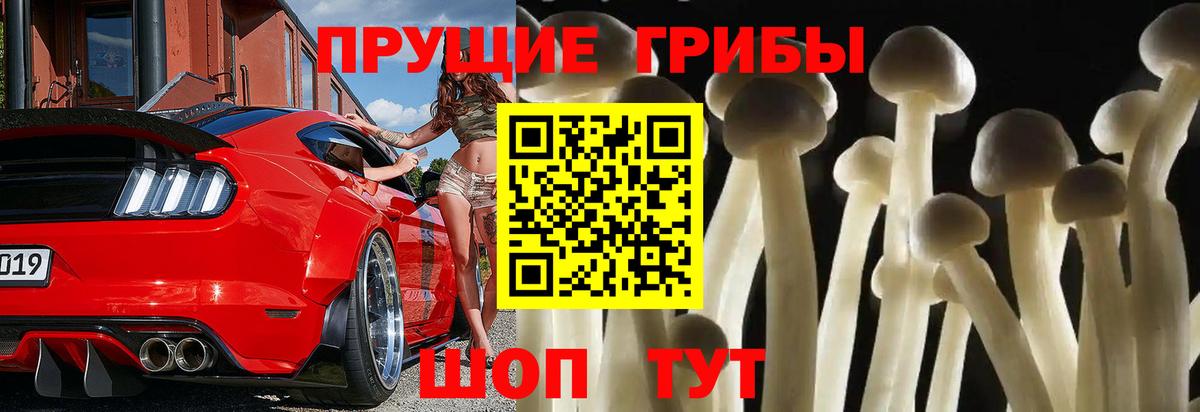 Галлюциногенные грибы Psilocybine cubensis  Вход с VPN  Пермь  Псилоцибиновые грибы ЛСД 