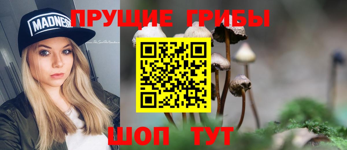 A PVP Пермь